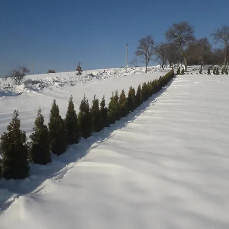 Vikendica Masa Blu 別荘 Šljivovica