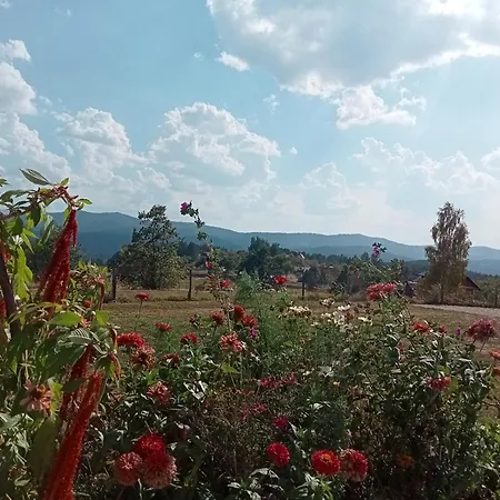 Vikendica Masa Blu * Šljivovica